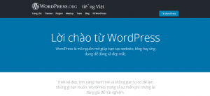 Sử dụng CMS WordPress để làm web chuẩn SEO