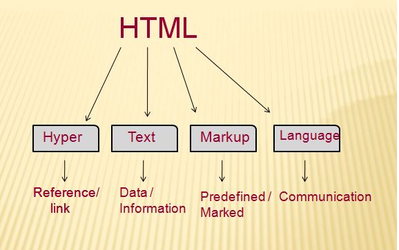 Ngôn ngữ lập trình HTML
