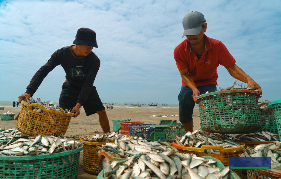 API là xương sống của mọi hệ thống tự động hóa